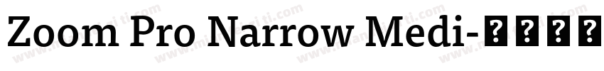 Zoom Pro Narrow Medi字体转换